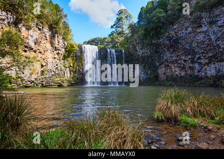 Dangar fällt eine Kaskade Wasserfall an der Bielsdown Fluss im Dorrigo Dorrigo National Park, in der Nähe von Coffs Harbour, New South Wales, Australien Stockfoto