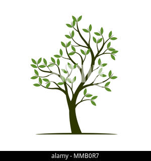 Grüner Baum mit Blättern. Pflanze, Natur und Garten, Vector Illustration. Stockfoto