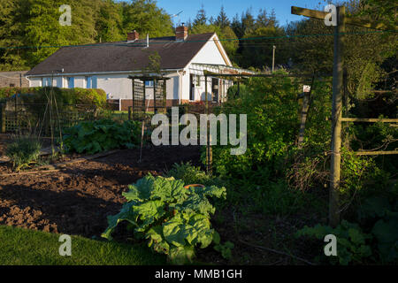 Eine ländliche Bungalow mit auf fruchtbaren Land, wo selbst angebautes Gemüse und Obst wie Rhabarber produziert wird, am 5. Mai 2018, in Wrington, North Somerset, England. Stockfoto