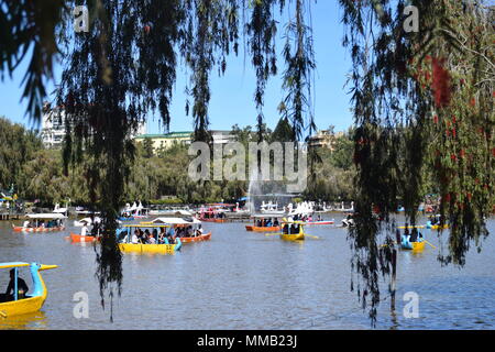 Familie Bootfahren am Burnham Park Lake im Herzen von Baguio City. Baguio City ist die Hauptstadt der Philippinen. Stockfoto