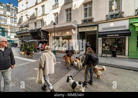 Eine große Gruppe von Hunden, für einen Spaziergang für einen Spaziergang entlang der Rue Montorgueil, einer Fußgängerzone im Herzen von Paris, Frankreich Stockfoto