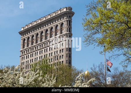 Frühling blühende Bäume im Madison Square Park Verbessern der historischen Flatiron Building, New York City, USA Stockfoto