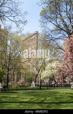 Frühling blühende Bäume im Madison Square Park Verbessern der historischen Flatiron Building, New York City, USA Stockfoto