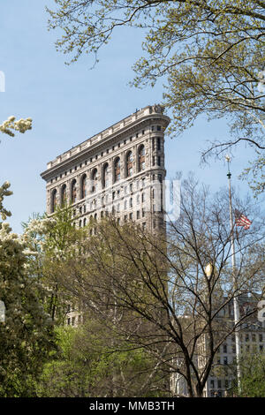 Frühling blühende Bäume im Madison Square Park Verbessern der historischen Flatiron Building, New York City, USA Stockfoto