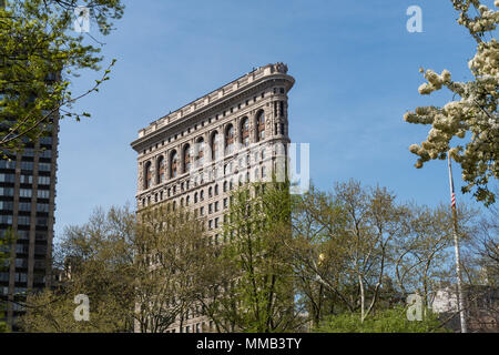 Frühling blühende Bäume im Madison Square Park Verbessern der historischen Flatiron Building, New York City, USA Stockfoto