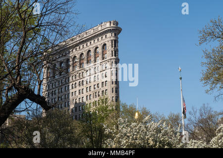 Frühling blühende Bäume im Madison Square Park Verbessern der historischen Flatiron Building, New York City, USA Stockfoto
