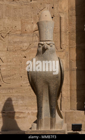 Ägypten, Edfu. Tempel des Horus. Pronaos. Ptolemäerzeit. Es war während der Herrschaft des Ptolemaios III. und Ptolemaios XII., 237-57 v. Chr. erbaut. Granit Statue der Falkengott Horus tragen die Doppelkrone in Ägypten. Stockfoto