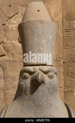 Ägypten, Edfu. Tempel des Horus. Pronaos. Ptolemäerzeit. Es war während der Herrschaft des Ptolemaios III. und Ptolemaios XII., 237-57 v. Chr. erbaut. Granit Statue der Falkengott Horus tragen die Doppelkrone in Ägypten. Vorderansicht, Detail. Stockfoto