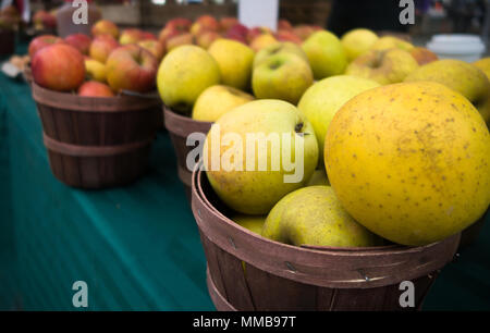 Körbe der rote und gelbe Äpfel zum Verkauf an ein Bauernmarkt Stockfoto