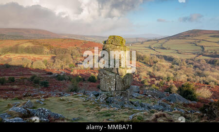 Bowermans Nase, dartmoor Stockfoto