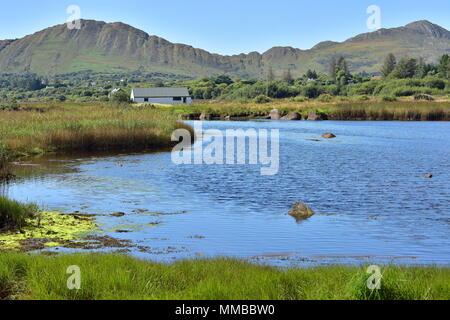 Ufer des Flusses Sneem bedeckt mit Schilf mit Hügeln im Hintergrund in der Nähe von Kenmare Bay. Stockfoto