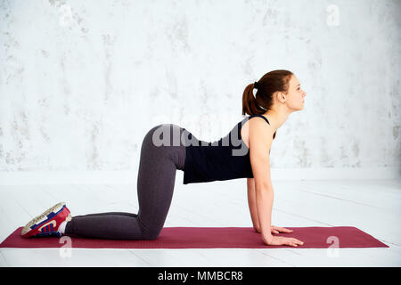 Frau üben Advanced Yoga. Kuh, Bitilasana, asana mit Cat Pose gekoppelt Auf ausatmen. Volle Länge. Stockfoto