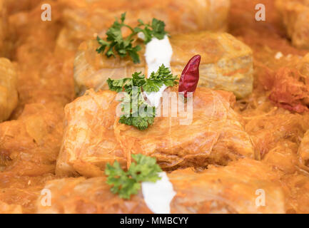 Traditionelle Osteuropäische Mahlzeit Stockfoto