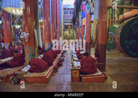 Tibetische Mönche im Kloster Gonchen in Dege, Sichuan, China Stockfoto