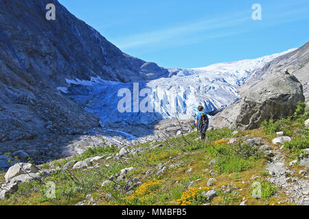 Ein Bergführer wandern zu Fabergstolsbreen, ein Gletscher Arm der großen Gletscher Jostedalsbreen, Norwegen, Europa Stockfoto