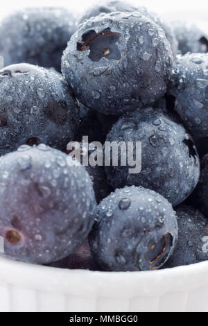 Frische reife Heidelbeeren mit Wassertropfen in Weiß Schüssel, Backligh, Nahaufnahme, gesunde Ernährung Konzept Stockfoto