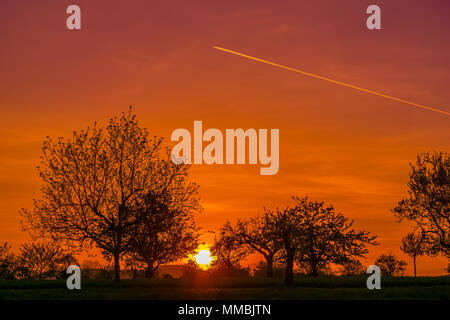 Schönen Sonnenuntergang in der Landschaft durch silhouetted Bäume mit dramatischen Himmel im frühen Frühjahr, Elsass, Frankreich. Stockfoto