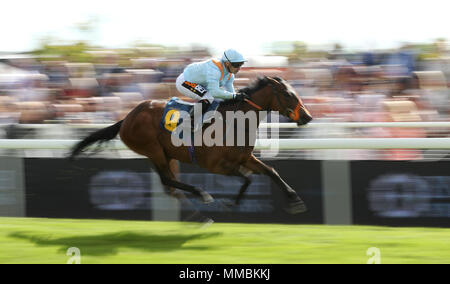 Datum der Hochzeit geritten von Sylvester De Sousa gewinnt den Britischen Hengst Bolzen E.B.F. Maiden Stakes, während Damen Tag des 2018 Boodles Mai Festival an der Rennbahn von Chester. Stockfoto