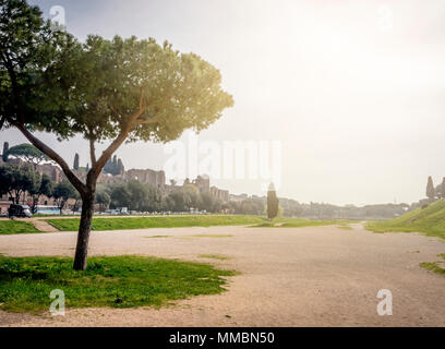 Die Überreste der berühmten Circus Maximus in Rom mit der berühmten Römischen Pinien und Zypressen Baum im Hintergrund. Zurück Licht an einem bewölkten Tag Stockfoto