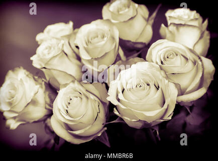 Still-Leben: einen schönen Strauß Rosen auf dunklem Hintergrund. Die Aussicht von oben. Stockfoto