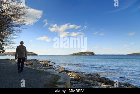 Der Uferweg Park entlang der Uferpromenade, Bar Harbor, Mount Desert Island, New England, Maine, USA Stockfoto