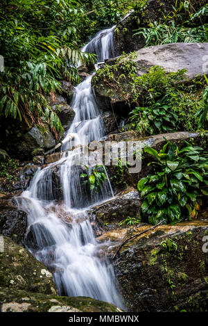 Rio De Janeiro Wasserfall in Tijuca Wald Stockfoto