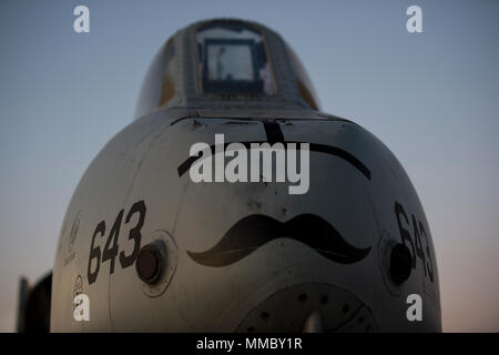 Eine A-10 Thunderbolt II, 190 Fighter Squadron zugewiesen ist, zeigt seine Schnurrbart während einer morgendlichen Fotoshooting am Okt. 6, 2017 Gowen Field, Boise, Idaho. Der Schnurrbart war auf dem Flugzeug während seiner 2016 Einsatz zur Unterstützung der Operation Inherient Lösen gemalt. (U.S. Air National Guard Foto von Master Sgt. Joshua C. Allmaras) Stockfoto