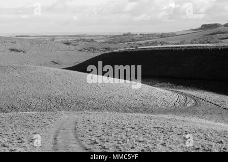 Crowhole unten in Lambourn Downs, Oxfordshire, England, Großbritannien Stockfoto