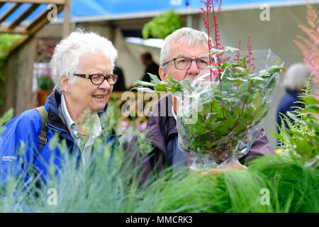 RHS Malvern Spring Festival - Freitag, 11. Mai 2018 - Besucher viel Spaß beim Durchstöbern der vielen Stände an diesem Jahre RHS Malvern Frühlingsfest - Foto Steven Mai/Alamy leben Nachrichten Stockfoto