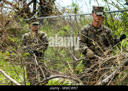 Us Marine Corps Lance Cpl. Trey S. Johnson, Recht, ein Combat engineer mit Bataillon Landung Team 2 Bataillon, 6 Marine Regiment, 26 Marine Expeditionary Unit (MEU), einem Zweig der Baumstruktur die Blockade einer Fahrbahn während der Straße Zollabfertigung in Ponce, Puerto Rico, Okt. 7, 2017 entfernen. Die 26. MEU, zusammen mit den lokalen Behörden und anderen Verteidigungsministerium Dienstleistungen, unterstützt die Leitung Bundesamt, Federal Emergency Management Agency, bei der Bereitstellung von Hurrikan Hilfsmaßnahmen für Puerto Rico. (U.S. Marine Corps Foto von Lance Cpl. Matally Tojyea G.) Stockfoto