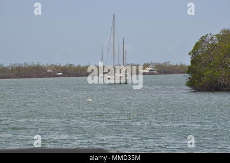 Segelboote und Motorboote sitzen in den Mangroven nach während des Hurrikans Maria in Salinas, Puerto Rico, Okt. 14, 2017 beschädigt wird geerdet. Teams aus der Maria ESF-10 PR Unified Command sind die Bewertung der Post - Sturmschäden und ergreifen Maßnahmen, um Auswirkungen auf die Umwelt zu verhindern. Die Unified Befehl ist der Abteilung der natürlichen und ökologischen Ressourcen, der U.S. Coast Guard und andere Bundes-, Landes- und lokalen Stellen. Das ESF 10 ist der Rahmen durch die Bundesmittel mit staatlichen Behörden in Reaktion auf tatsächliche oder potenzielle ausgelaufenes Öl oder gefährliche Materialien Pressemitteilungen koordiniert wird. Stockfoto