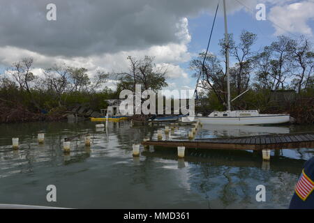 Boote sitzen in den Mangroven nach während des Hurrikans Maria in Salinas, Puerto Rico, Okt. 14, 2017 beschädigt wird geerdet. Die Maria ESF-10 PR Unified Befehl ist der Abteilung der natürlichen und ökologischen Ressourcen, der U.S. Coast Guard und andere Bundes-, Landes- und lokalen Stellen. Das ESF 10 ist der Rahmen durch die Bundesmittel mit staatlichen Behörden in Reaktion auf tatsächliche oder potenzielle ausgelaufenes Öl oder gefährliche Materialien Pressemitteilungen koordiniert wird. U.S. Coast Guard Foto von Petty Officer 1st Class Timothy Tamargo Stockfoto