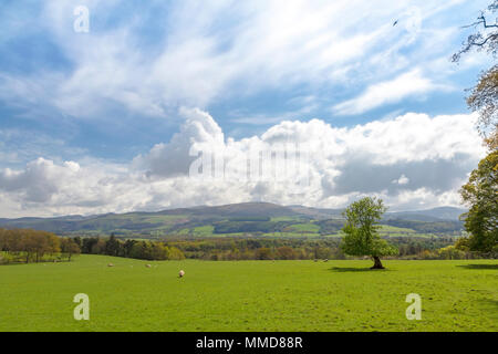 Walisische Landschaft Schönheit, in der Nähe von Penrhyn Castle, Llandygai, Bangor, Gwynedd, Snowdonia, Nord Wales, Großbritannien gesehen. Stockfoto