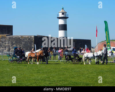 Wettbewerber nehmen Sie Teil im Schneetreiben fahren Meisterschaften an der Ländlichen und Meer in Southsea, Portsmouth. Stockfoto