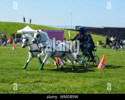 Wettbewerber nehmen Sie Teil im Schneetreiben fahren Meisterschaften an der Ländlichen und Meer in Southsea, Portsmouth. Stockfoto