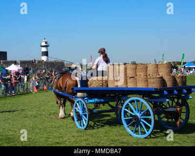 Eine von Pferden gezogene crriage zeigt in den ländlichen und am Meer in Southsea, Portsmouth, England. Stockfoto