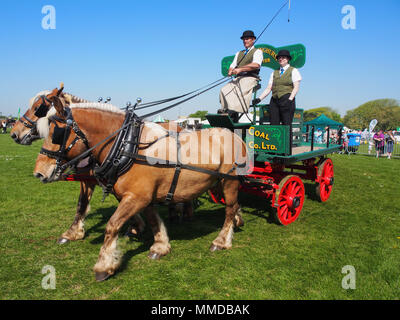 Eine von Pferden gezogene crriage zeigt in den ländlichen und am Meer in Southsea, Portsmouth, England. Stockfoto