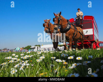 Eine von Pferden gezogene crriage zeigt in den ländlichen und am Meer in Southsea, Portsmouth, England. Stockfoto