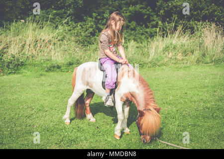 Boho Mädchen sass Reiten auf Miniatur Pferd Beweidung in Feld Stockfoto