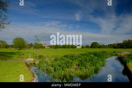 Frühling Nachmittag Licht auf die Kathedrale von Salisbury aus ganz Harnham Wasser Wiesen, Wiltshire, Großbritannien Stockfoto