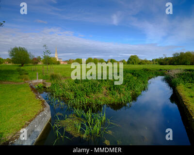 Frühling Nachmittag Licht auf die Kathedrale von Salisbury aus ganz Harnham Wasser Wiesen, Wiltshire, Großbritannien Stockfoto