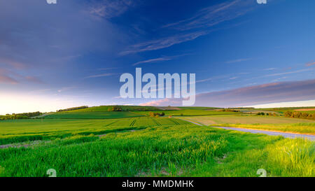 Frühjahr Sonnenuntergang und das Abendlicht auf die meon Hütte Hirten Hütte unter alten Winchester Hill, South Downs, Hampshire, Großbritannien Stockfoto