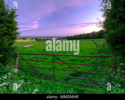 Frühjahr Sonnenuntergang über der South Downs Gebiet der Schafe mit den Solent und Isle of Wight im Hintergrund, Hampshire, Großbritannien Stockfoto