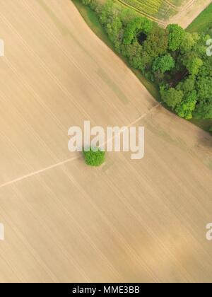 400 ft Antenne noch Bild über West Sussex Ackerland mit einem einzigen großen Eiche und ein öffentlicher Weg. Stockfoto