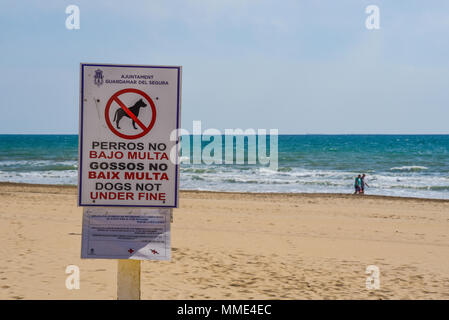 Keine Hunde am Strand Warnzeichen. Schlecht Hunde nicht unter gut übersetzt. Spanglish. Spanisch in Englisch pigeon Englisch. Fehler. Übersetzung. Falsch Stockfoto