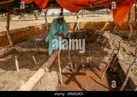 UBTEC NRO in einem Dorf in der Nähe von Ouahigouya, Burkina Faso. Kooperative leader Cissé Ousseini mit Rindergülle biogaz zu produzieren. Stockfoto