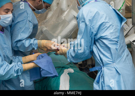 Nierentransplantation Stockfoto