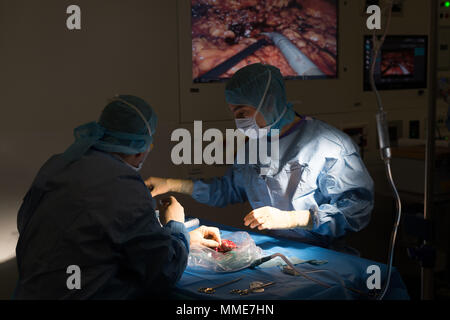 Nierentransplantation Stockfoto