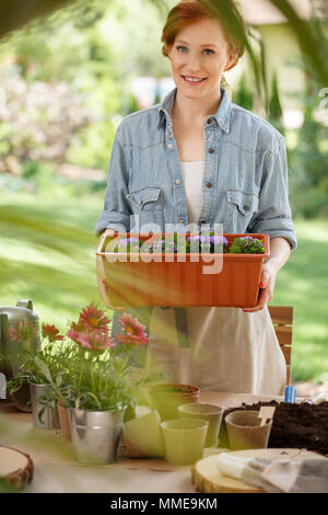 Lächelnde Frau mit einer Schachtel mit violetten Blüten neben einer Tabelle mit Töpfen und Boden Stockfoto