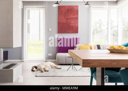 Hell beige Couch, Tisch, Kamin, Artwork, helle Fenster und lila Akzent in modernen Wohnzimmer mit Hund schläft auf dem Teppich Stockfoto